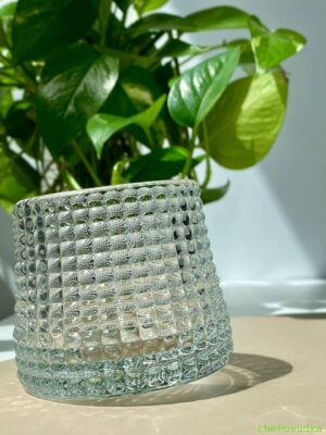 Набір 6 склянок‐дзиґа Olens "Артур", 170 мл