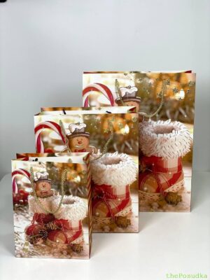 Пакет подарунковий Новорічний